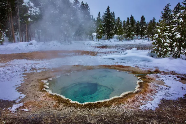 Séjour photographique au Yellowstone, USA 
